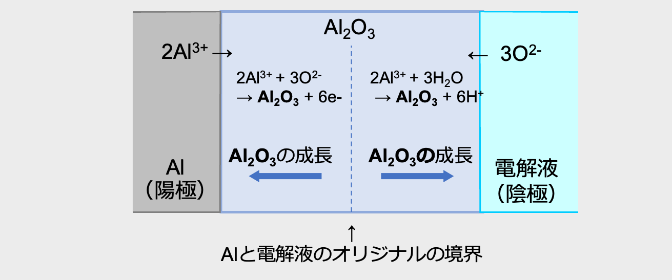 図13 化成における酸化物皮膜の成長の模式図