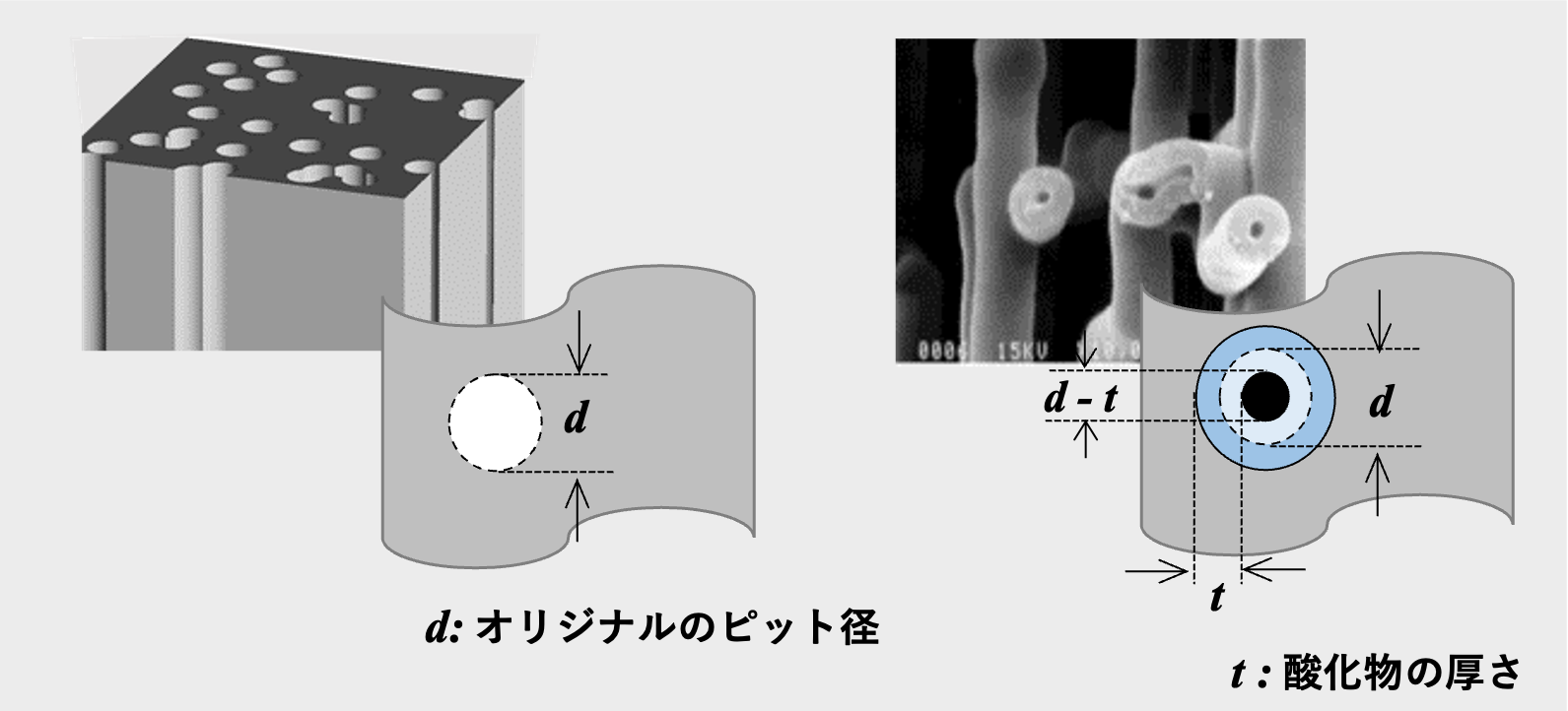 図14 アルミニウム箔のトンネル状ピットのイメージ(左)ピットに形成された酸化物のSEM像(右)酸化物によるピット径の減少のイメージ