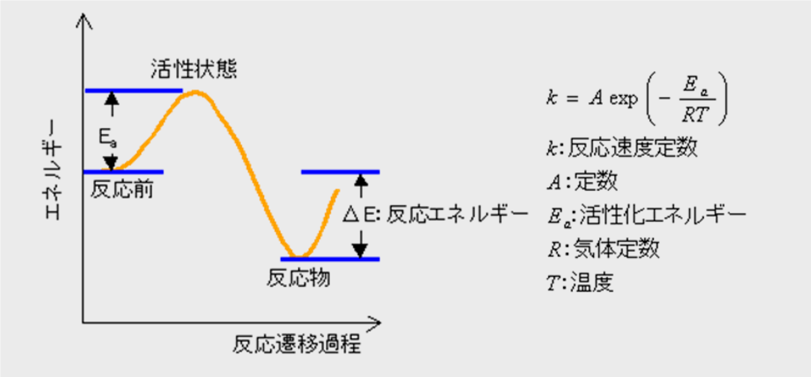 図2 反応論モデルの概念図